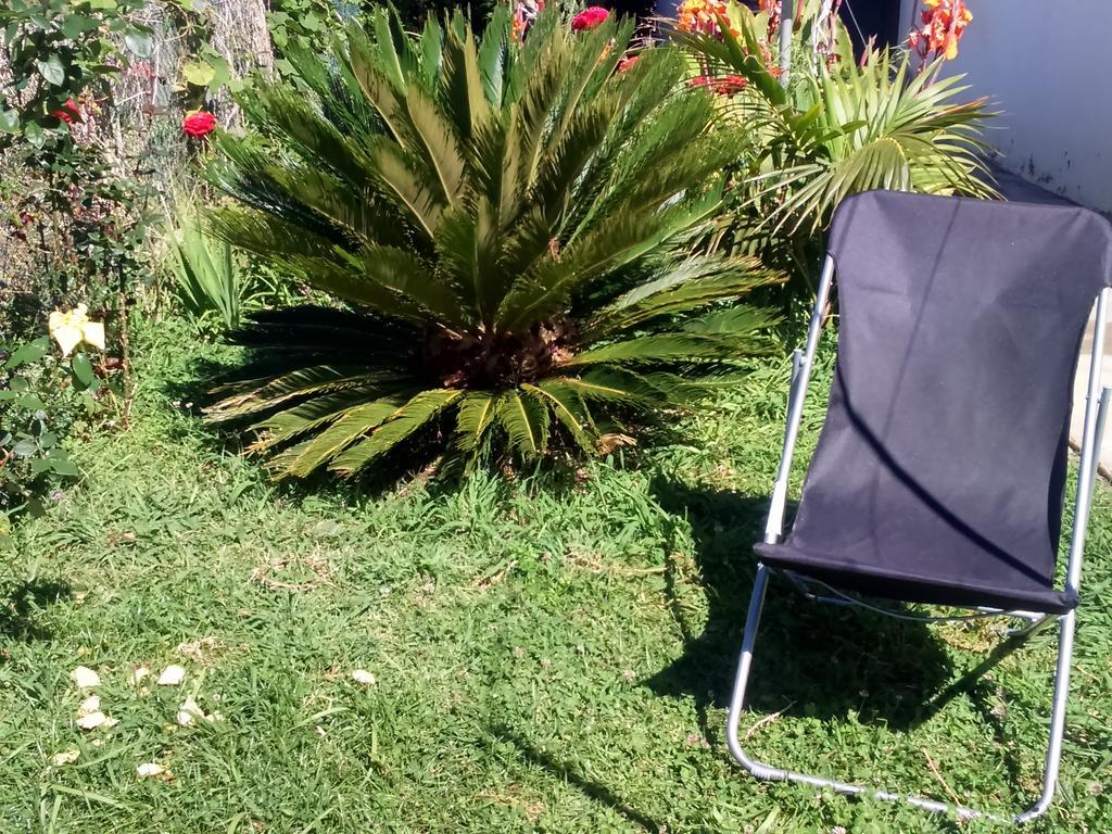Canto Da Manu Estreito Da Calheta Dış mekan fotoğraf